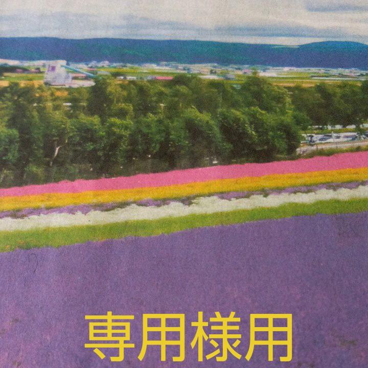 布ぞうり☆　みぃ  様  専用  ♪