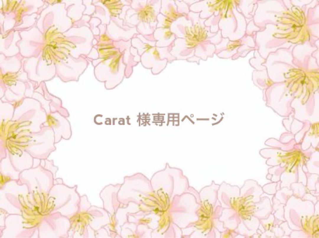 Carat様専用⭐️ クレイケーキ*クレイクリームケーキ*ハートドリップ