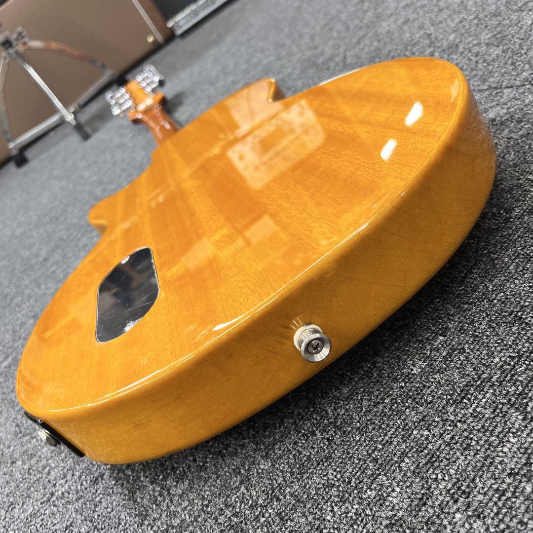【10304】 EPIPHONE by Gibson LES PAUL