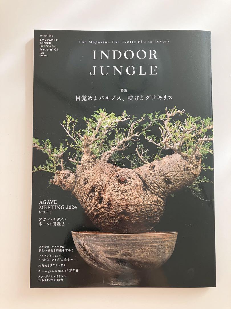 INDOOR JUNGLE（インドアジャングル） No.03 - メルカリ