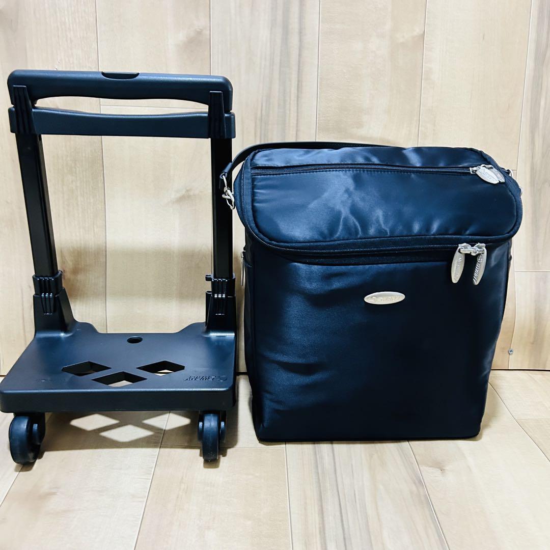 美品 Swany スワニー キャリーバッグ 小さめサイズ 旅行
