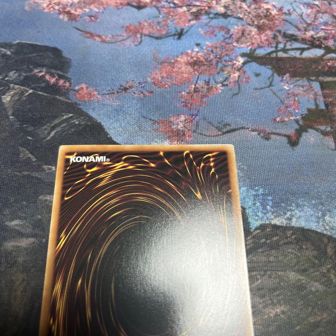 遊戯王　ラッシュ　オーバーレア　青眼の究極龍