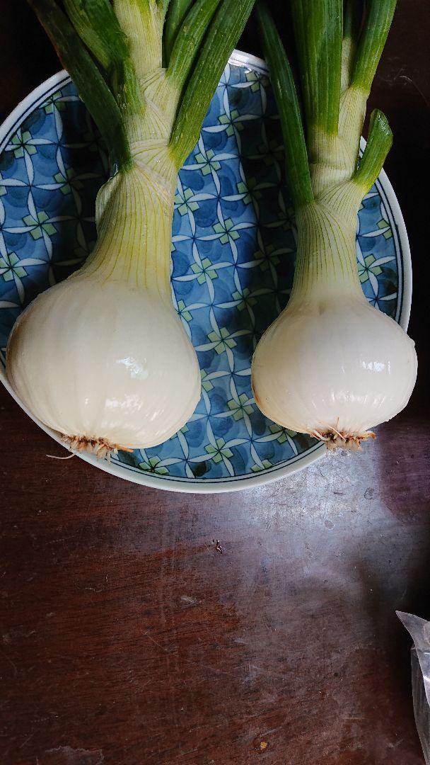 リピーターのPONTACHAN、ヒノヒカリ5kg、野菜セット、奈良県産