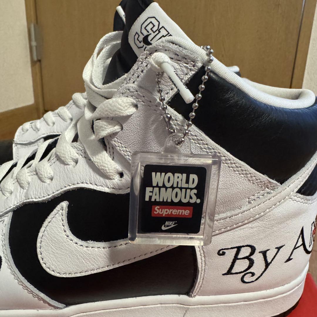Supreme × Nike SB Dunk By Any Means　26.5