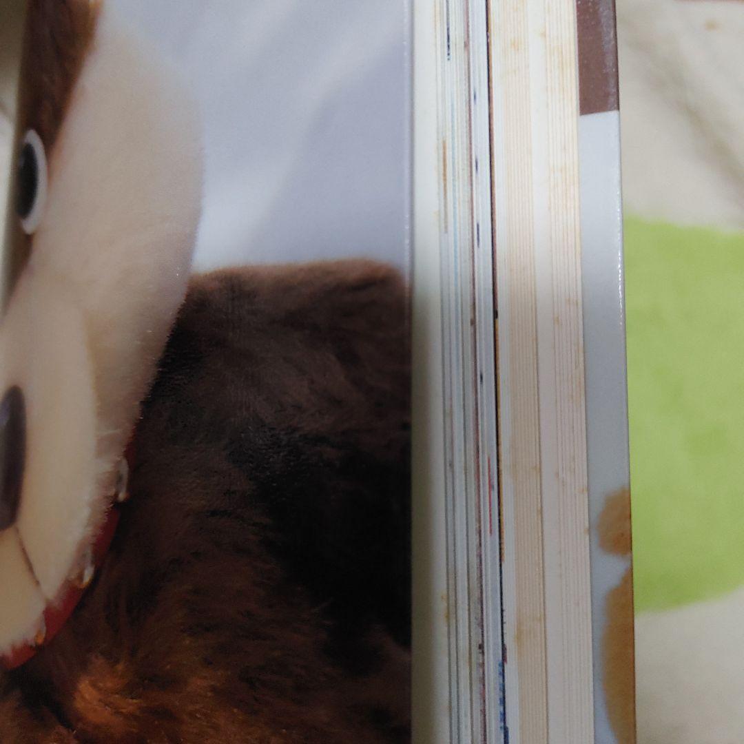 杉興安のteddy bear : 大きなベアと小さなベア