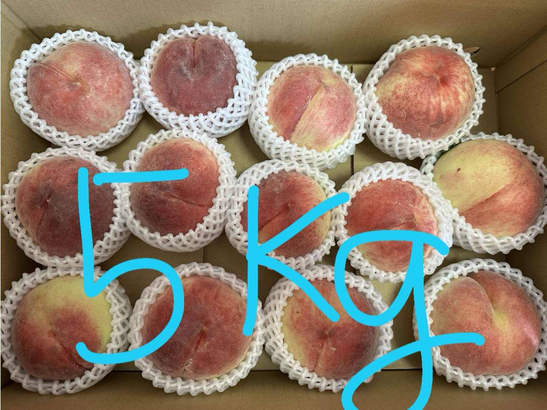 新鮮な桃 5kg