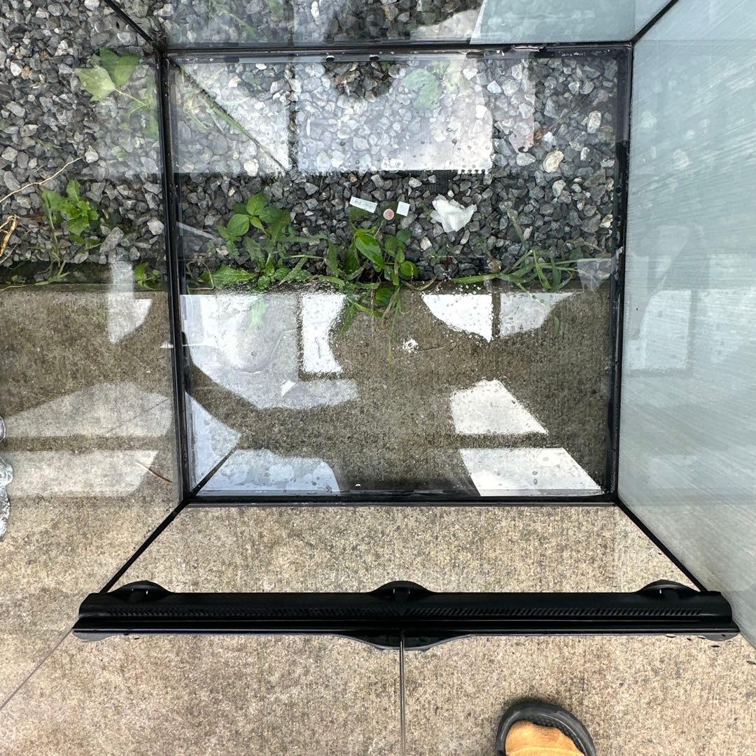 【埼玉手渡し限定】グラステラリウム4590 GEX エキゾテラ【手元20000】