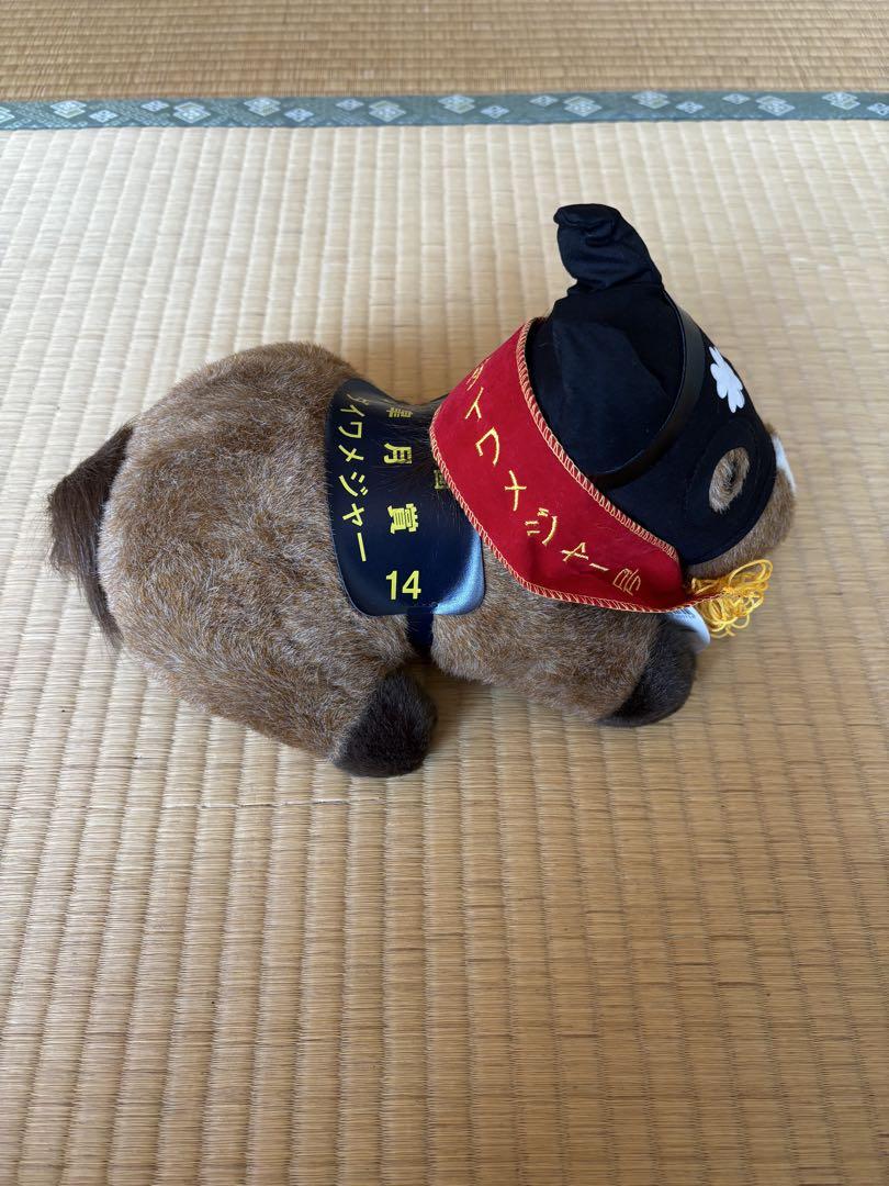 ダイワメジャーぬいぐるみ
