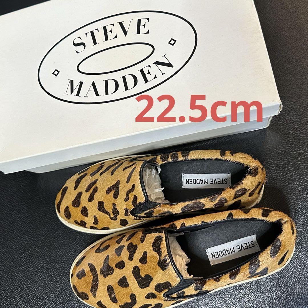 【Steve Madden】ハディンメッシュレオパード レオパード（ヒョウ柄） Steve Madden(スティーブマデン) - 海外