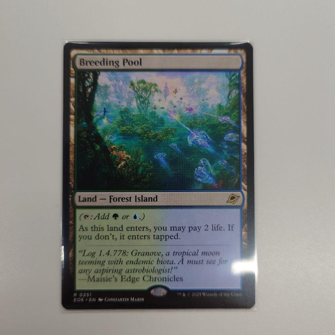 MTG 繁殖池/Breeding Pool ギャラクシーFOIL 英語版 旧枠仕様)繁殖池/Breeding Pool《日本語》【RVR】