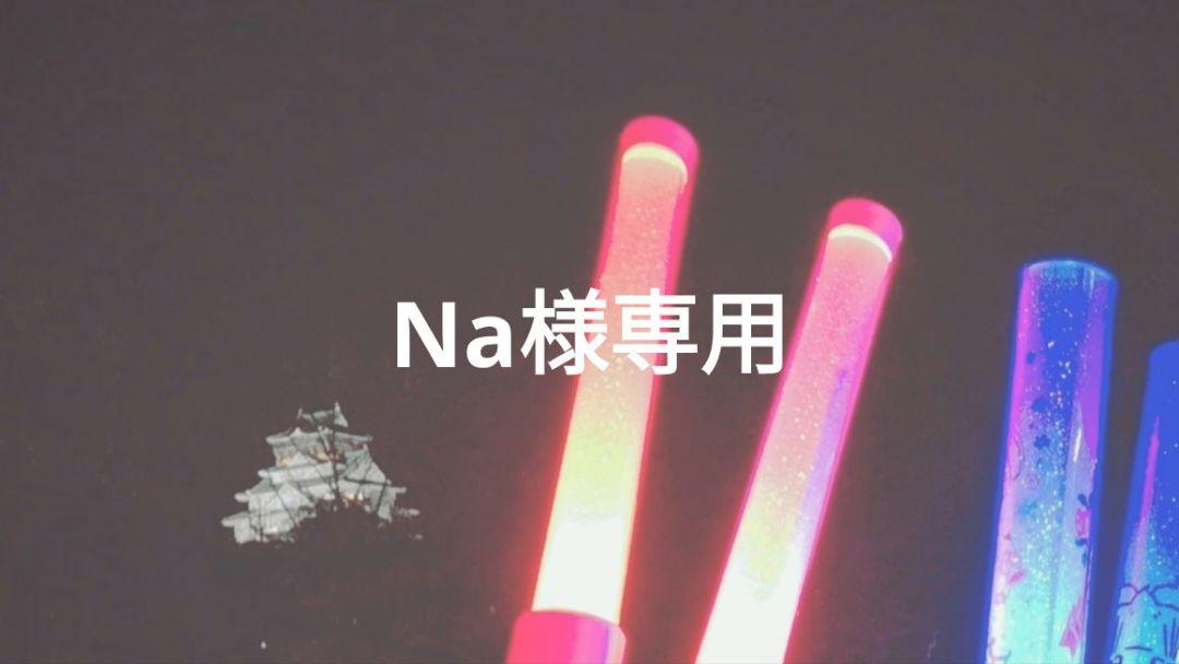Na様専用