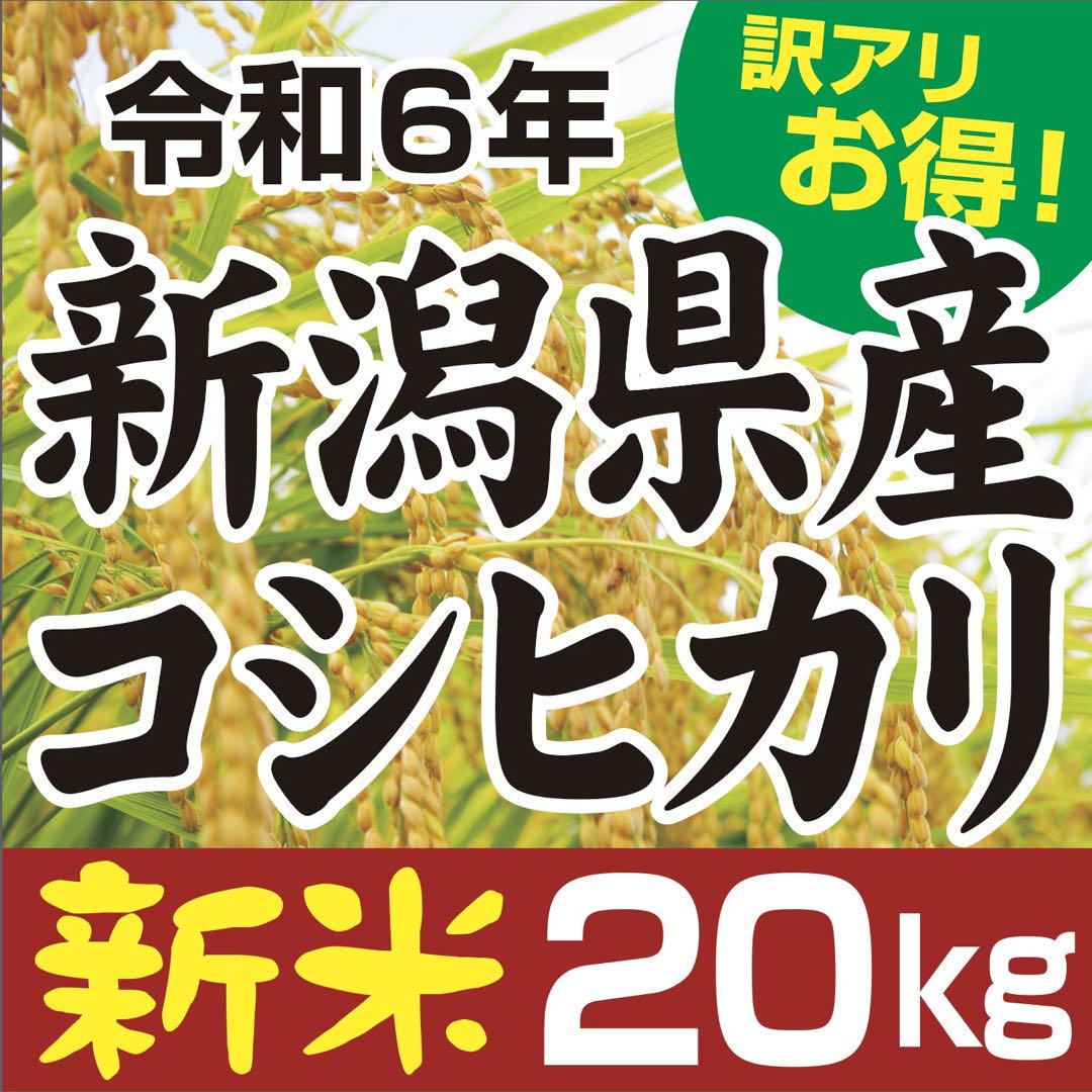 【20kg】 新潟産 コシヒカリ 中米 米
