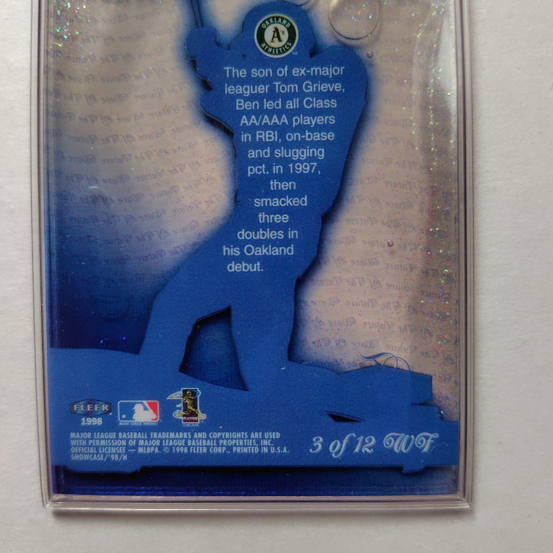 FLEER