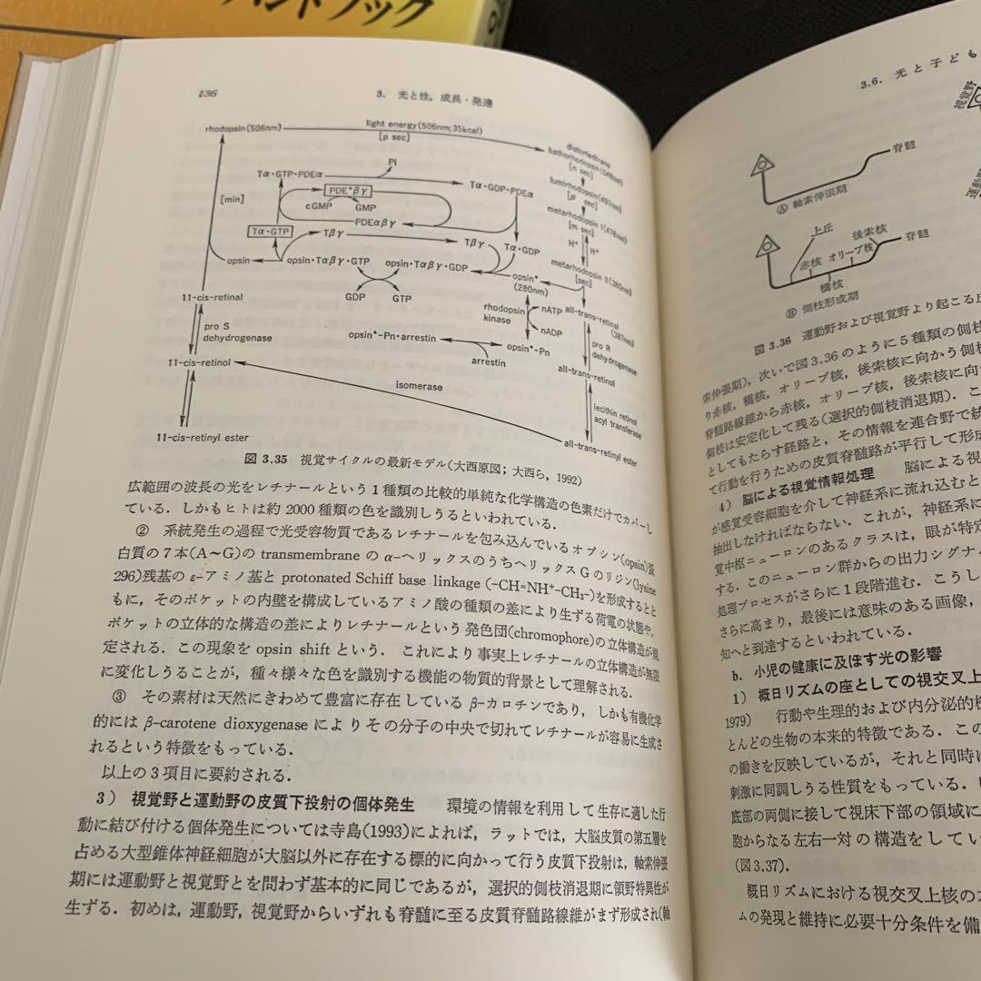 光と人間の生活ハンドブック