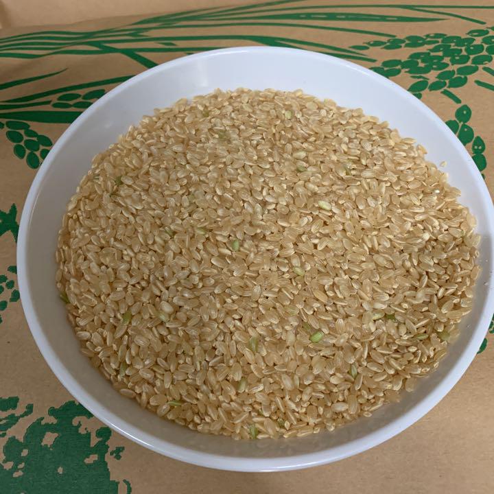 新米 玄米30キロ 淡路島産 IPpxr-m95073691925 令和2年産 キヌヒカリ 格安NEW
