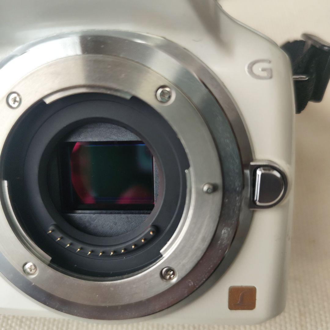 Lumix G