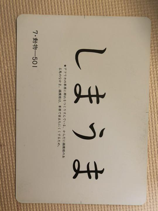 お買い得新作 家庭保育園 絵カード 5か国語CD 翻訳冊子 プラス おまけで本など 14GkJ-m95086379000 超歓迎定番