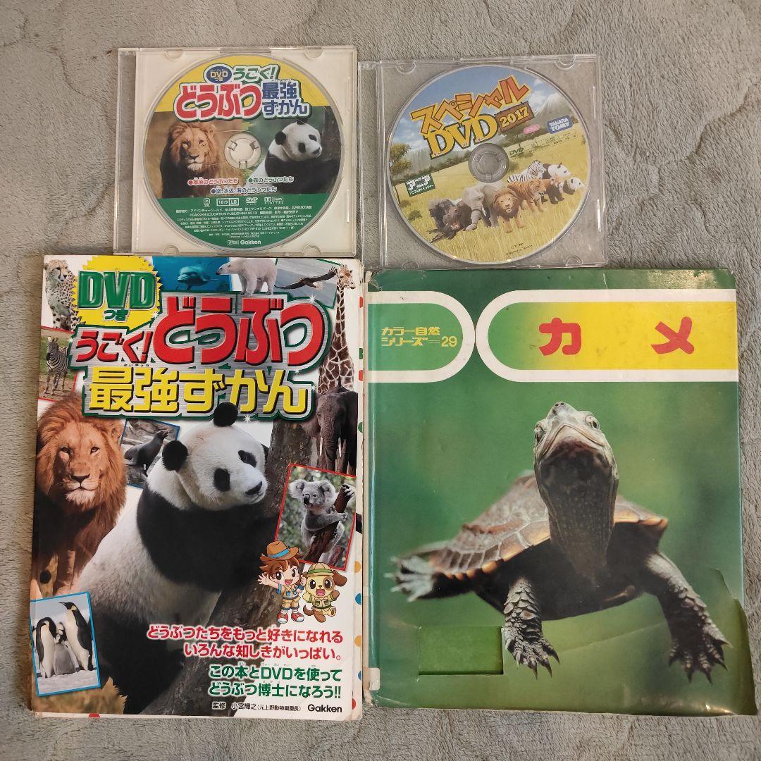 Amazon.co.jp: もうひとつのどうぶつえん ~絶滅動物ものがたり