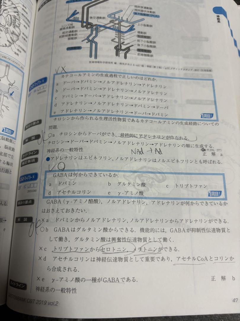 2019　クエスチョンバンク　1〜５セット クエスチョン バンク CBT QB 2019 vol.1-5 セット 第12版 - メルカリ