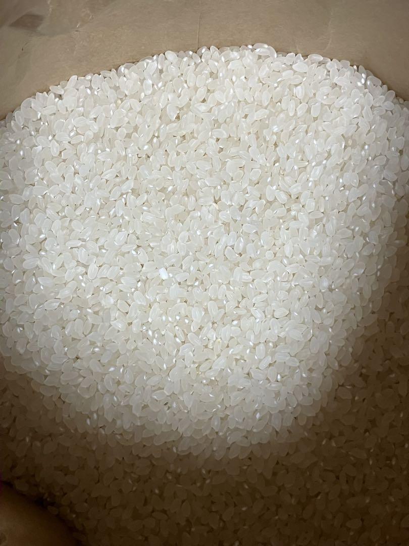令和6年度 青森県産はれわたり　玄米10kg