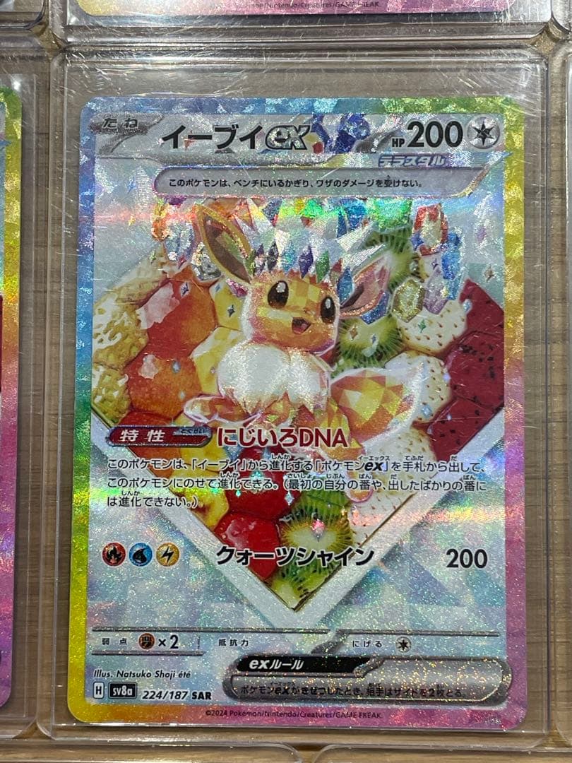 テラスタルフェス ブイズ 8枚セット