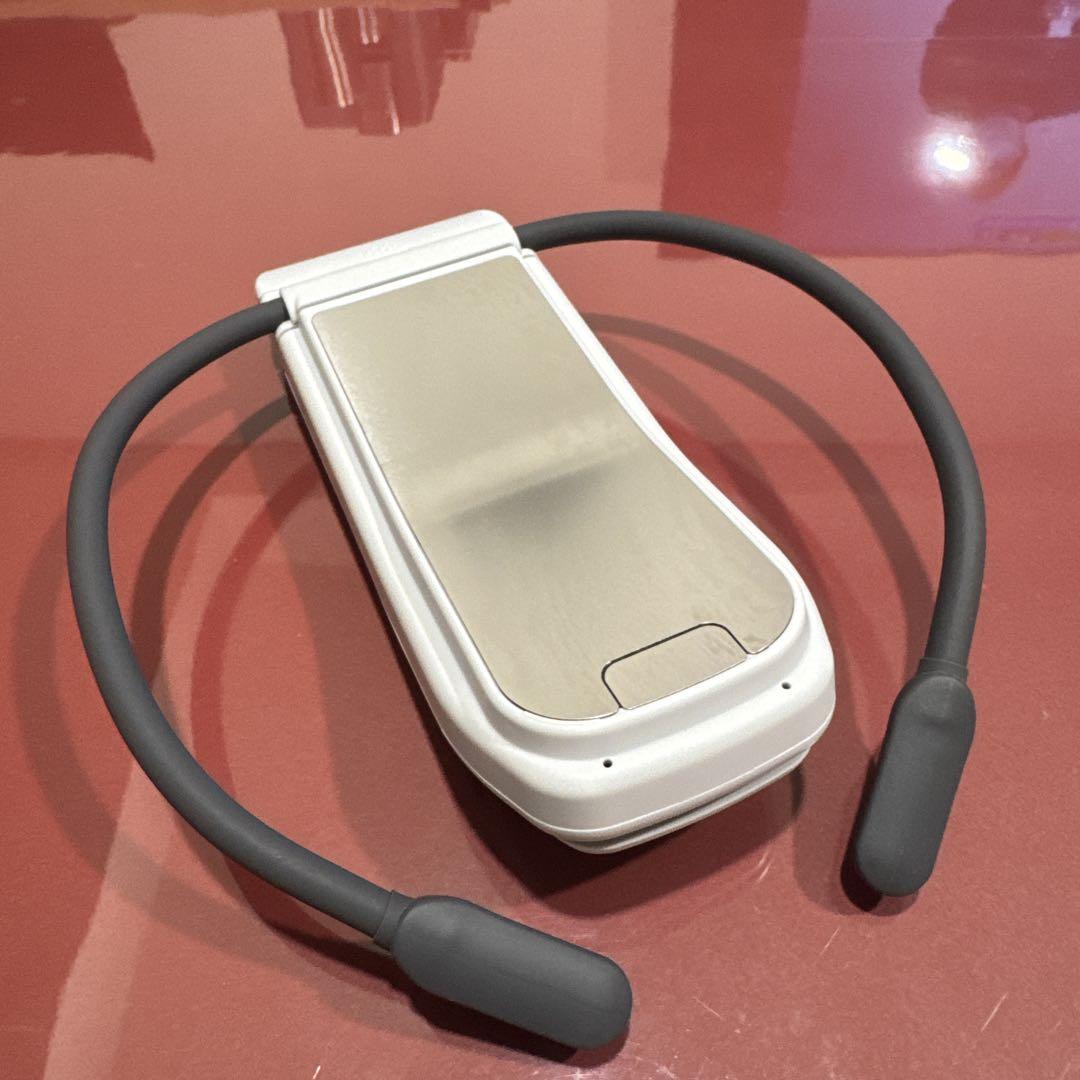 SONY REON POCKET PRO 、専用ポーチ