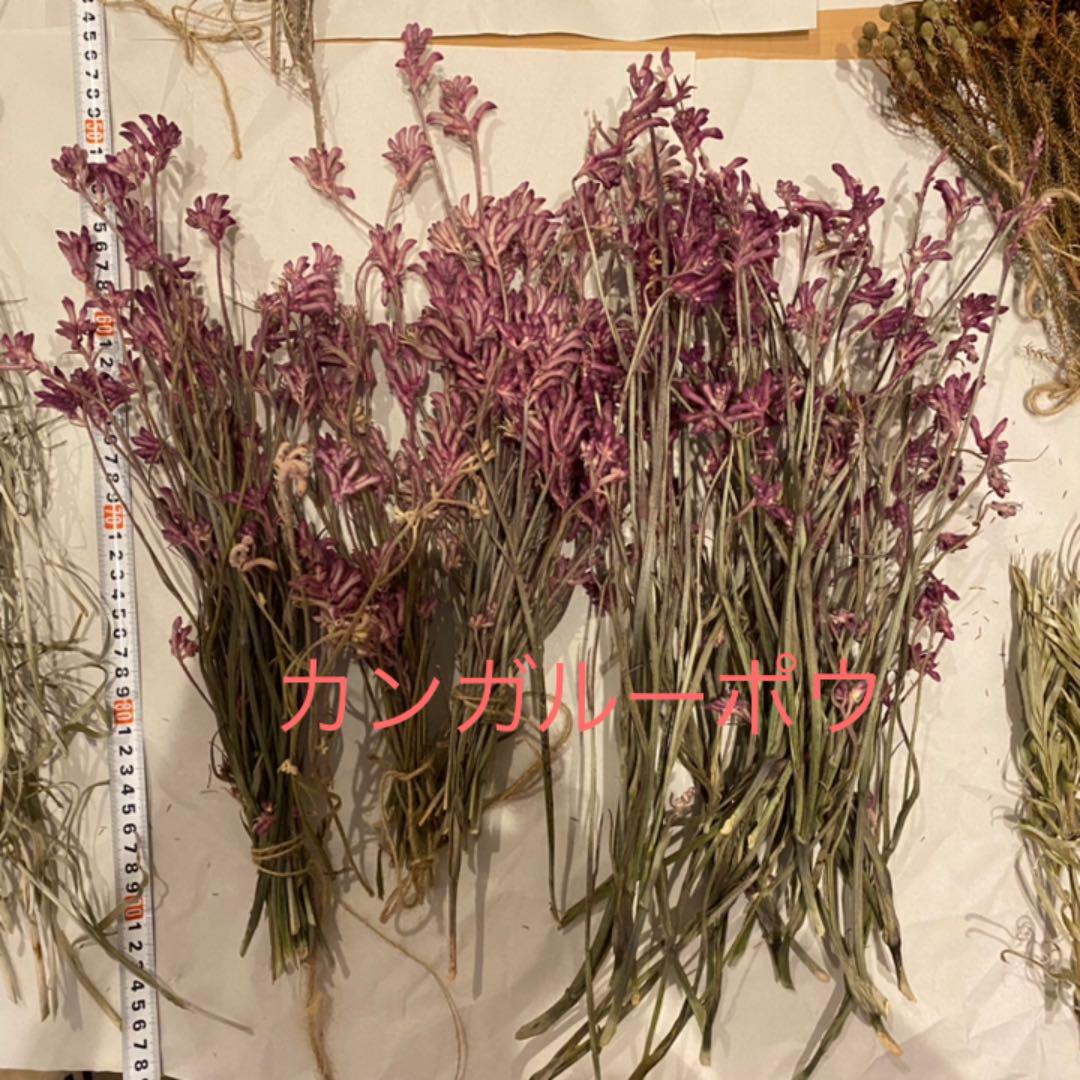 安い超歓迎 セール中 花材 まとめ売り fdVNT-m95118460573 ドライフラワー 特価最安値