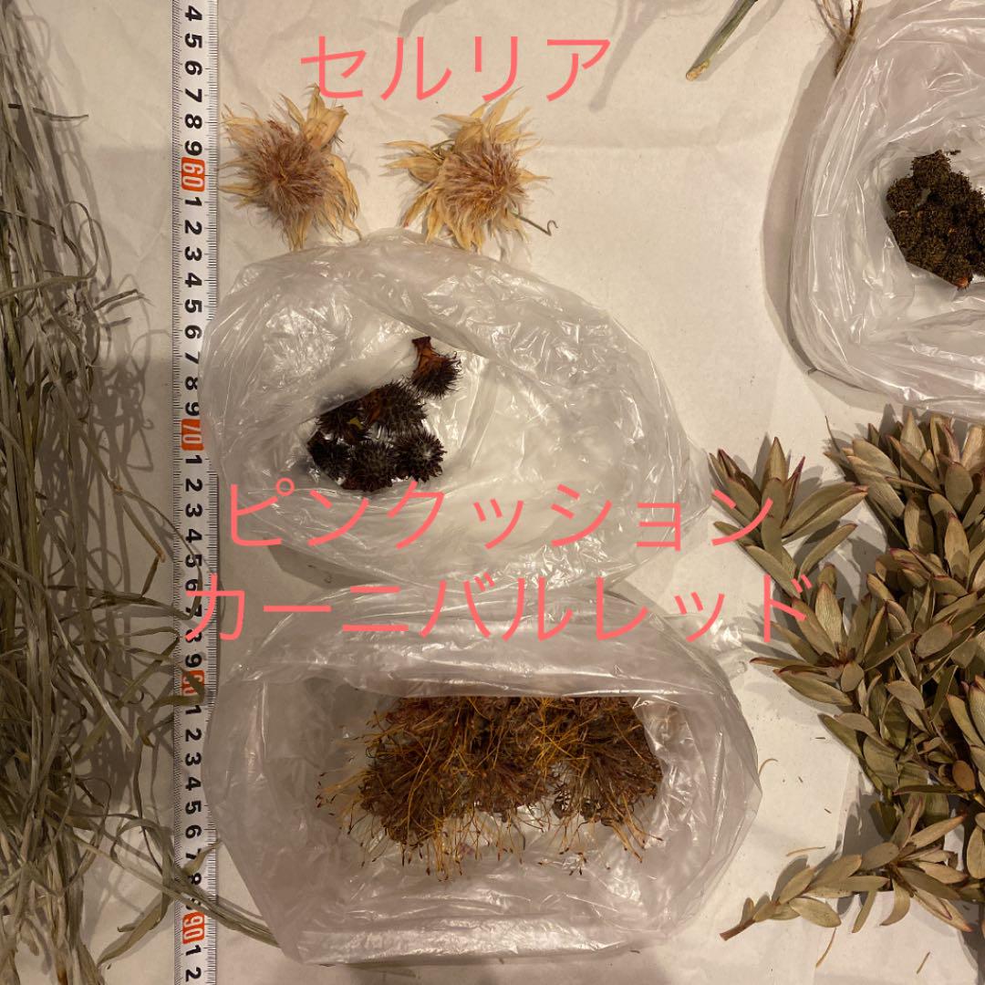 安い超歓迎 セール中 花材 まとめ売り fdVNT-m95118460573 ドライフラワー 特価最安値