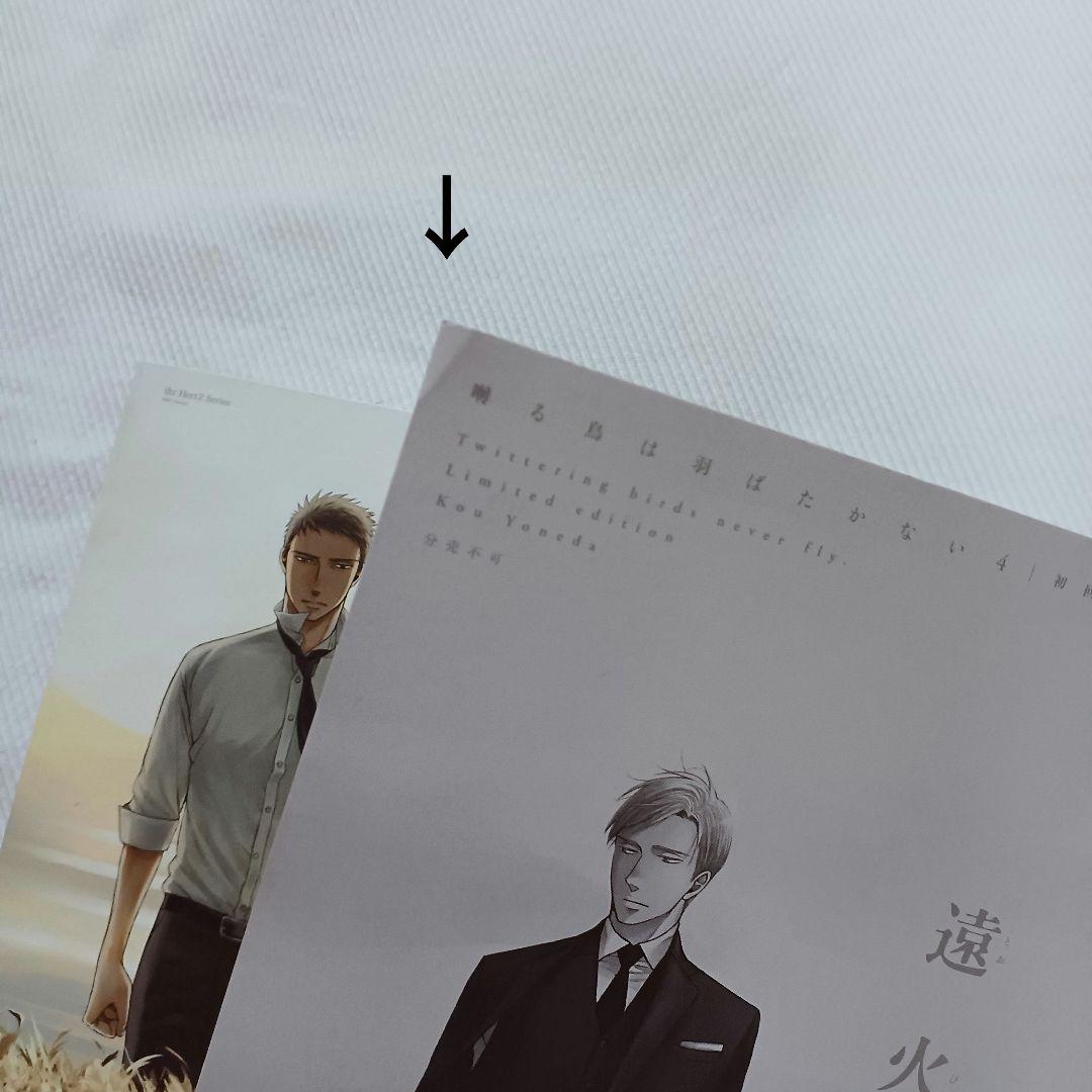 囀ずる鳥は羽ばたかない 1~8巻 ／ 他6さつ