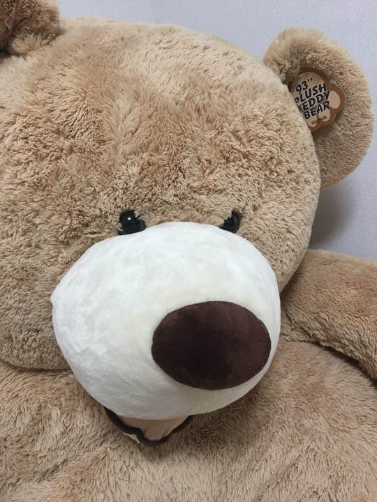 げいたしま 最終値下げ 2mくま utg6P-m95180231232 コストコ よろしくお
