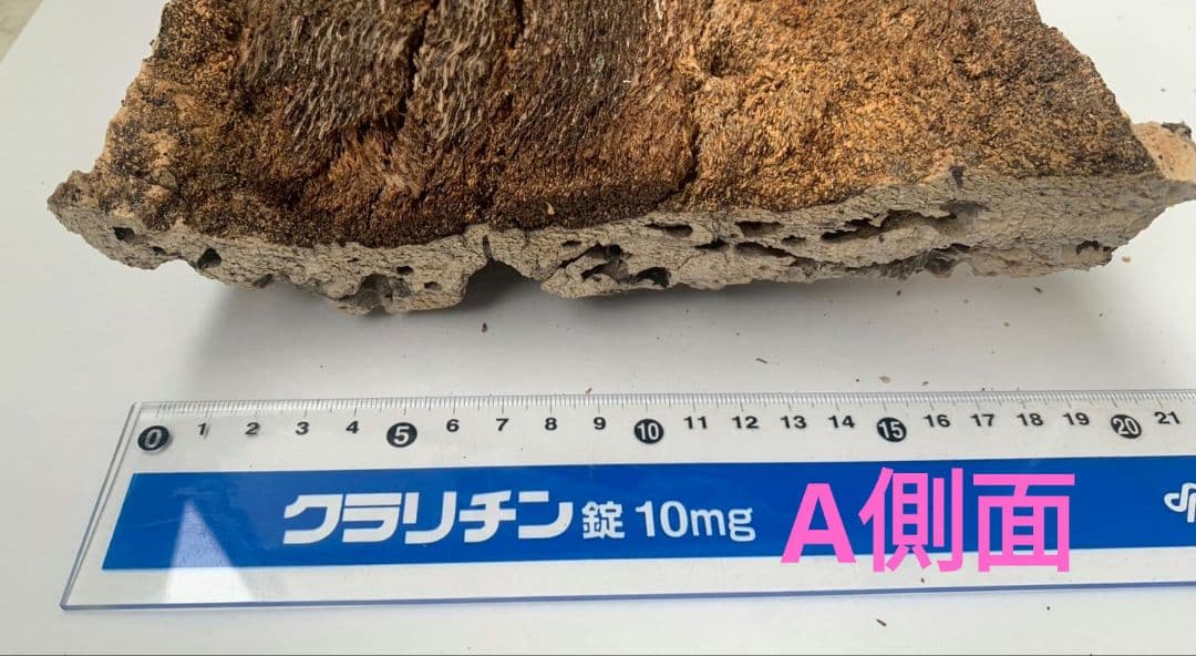 コルク コルク板