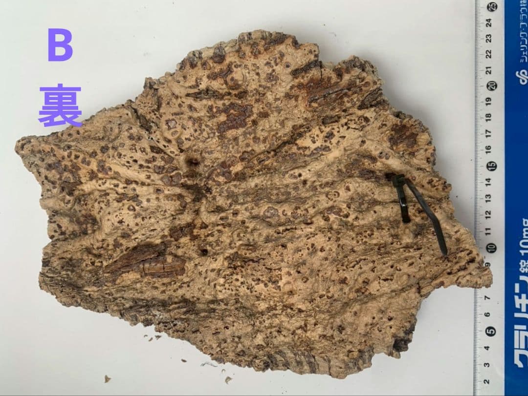 コルク コルク板 板付け 大型 樹皮素材 3点の セットです WWW_GEBZETESISAT_COM_TR