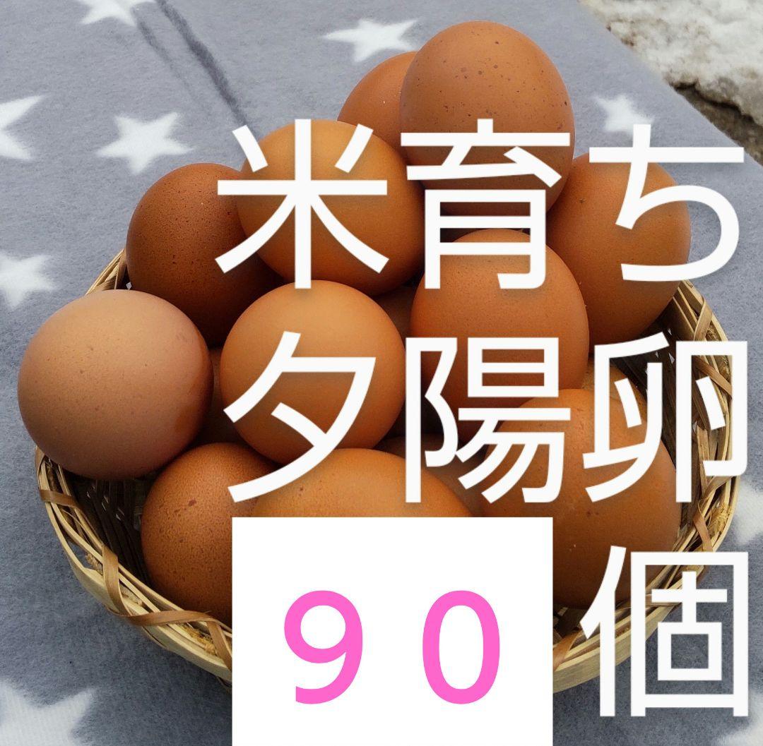 メモリアルアイテム 〜離れていても気持ちはひとつ！ シュシュ