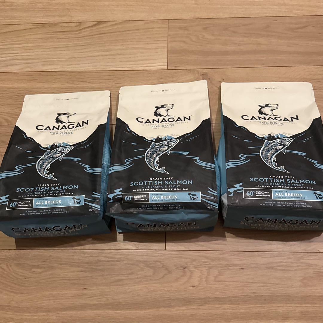 カナガンドッグフード　サーモン2kg✖️3セット