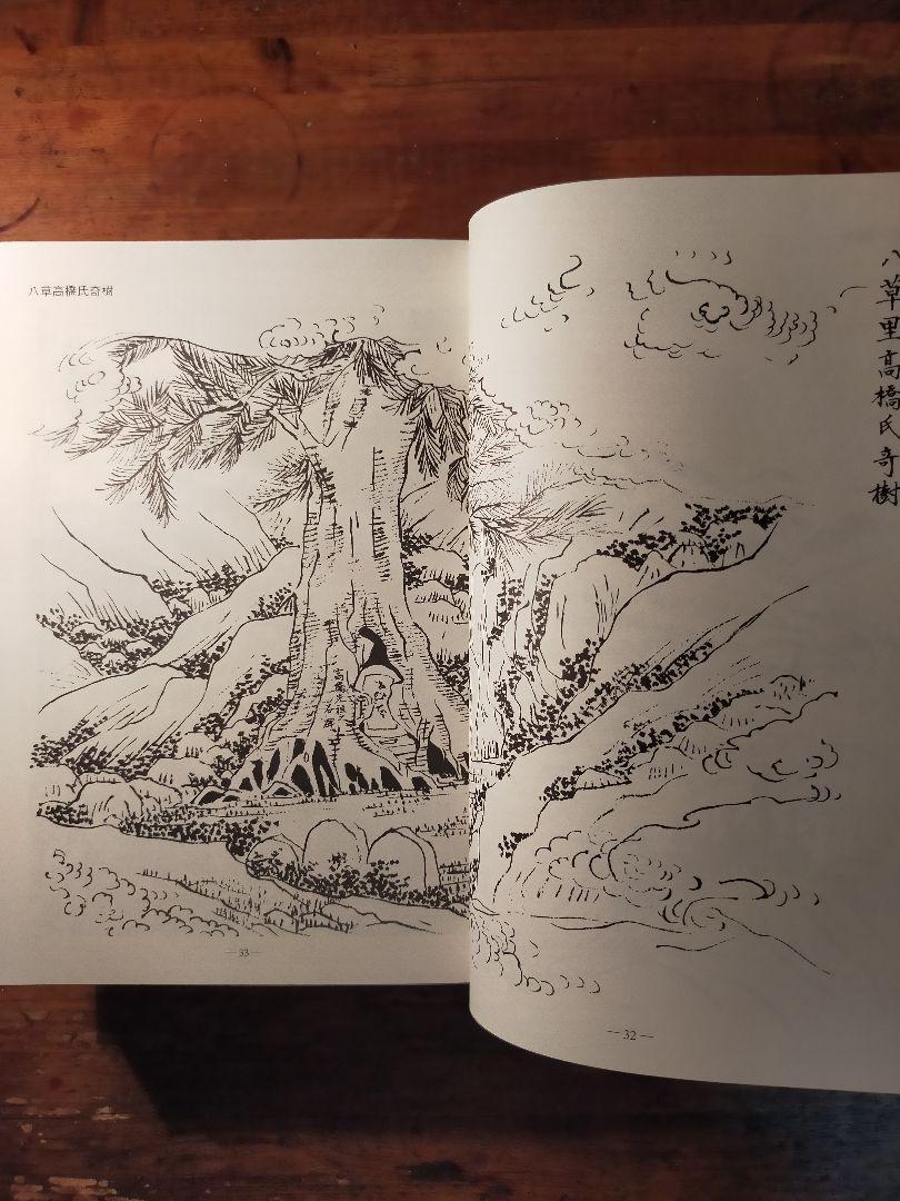 駿河記 絵図集成 桑原藤泰