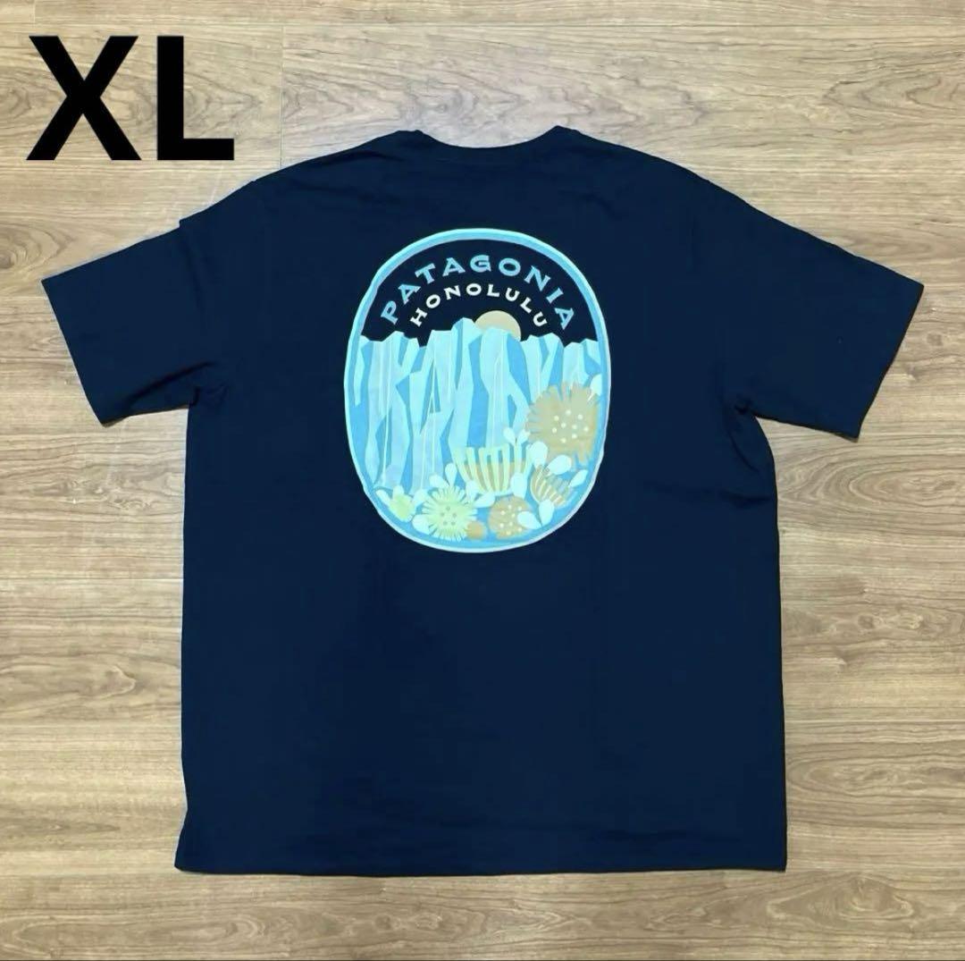 patagonia（パタゴニア） ハワイ限定 ヴァリービュー Tシャツ XL