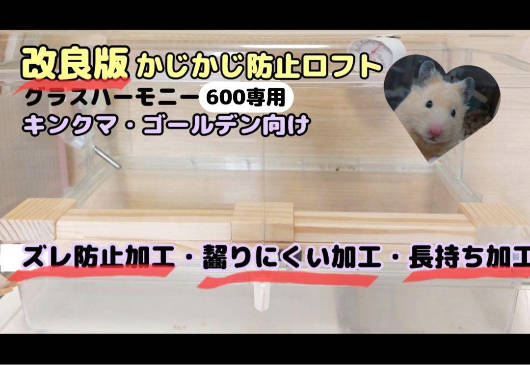 ねこだるま様専用オーダーページ グラスハーモニー600専用正面