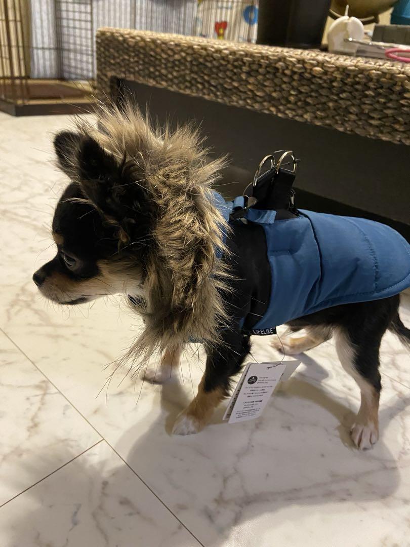 小型犬用ハーネス一体型ダウン　他