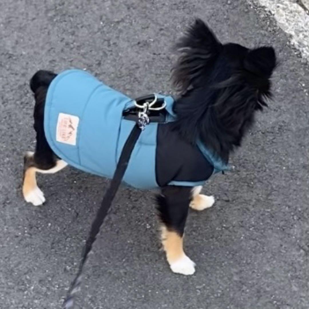 小型犬用ハーネス一体型ダウン　他