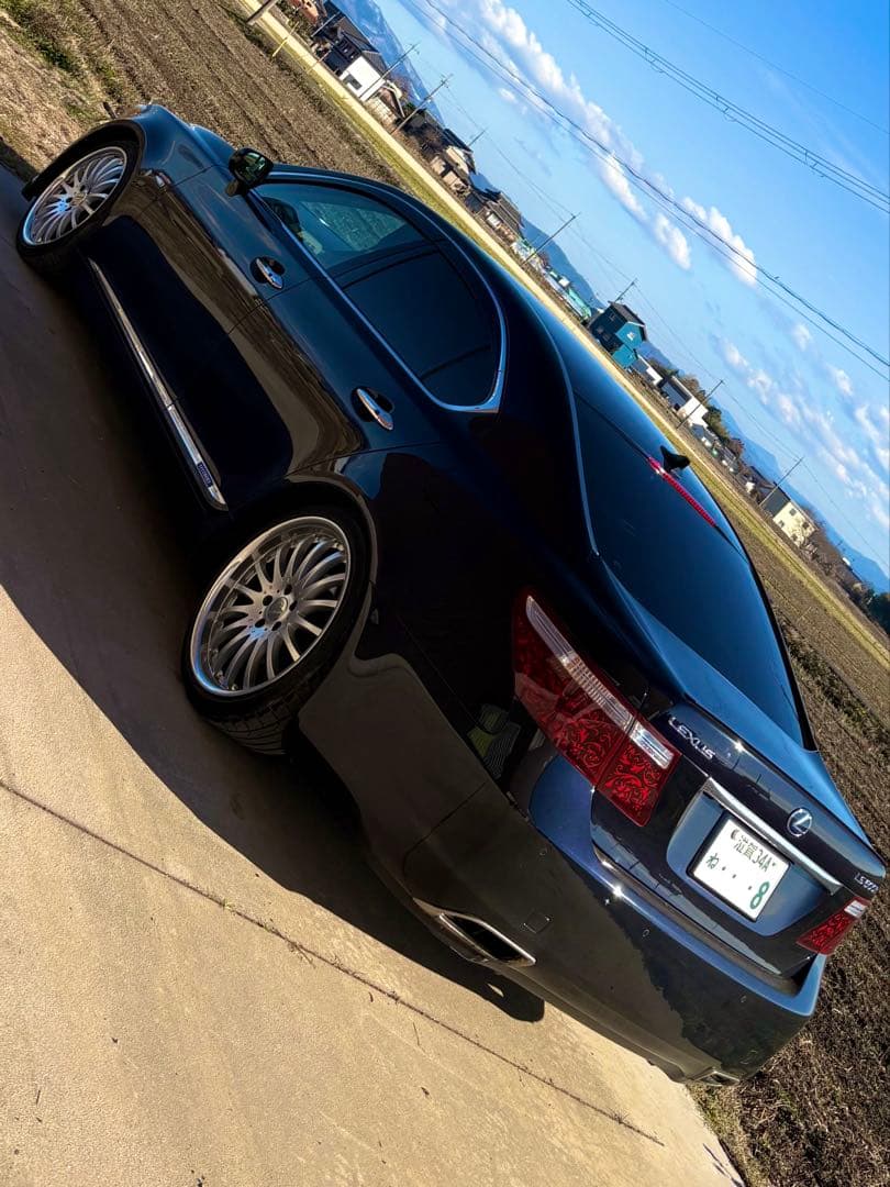 西洋唐草模様 アクリルテールやや傷や汚れあり