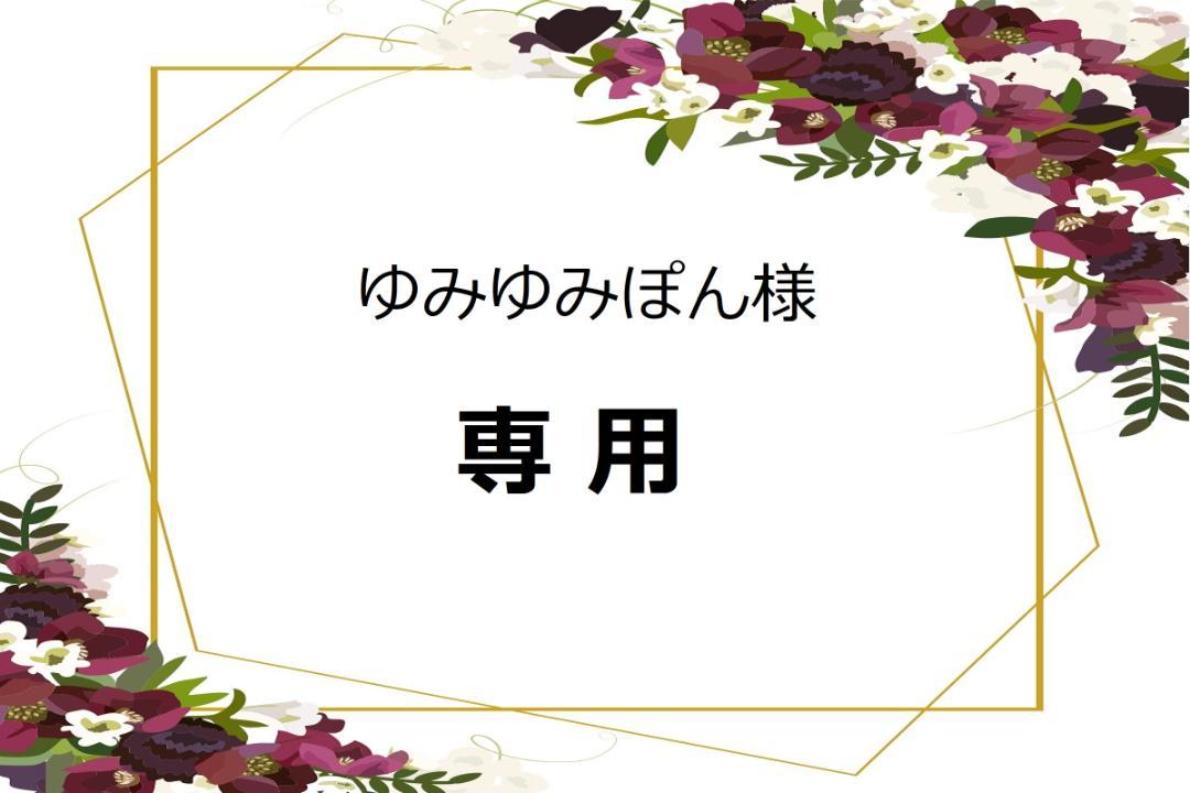 ゆみゆみぽん様専用　クリスマスローズ 　 種子