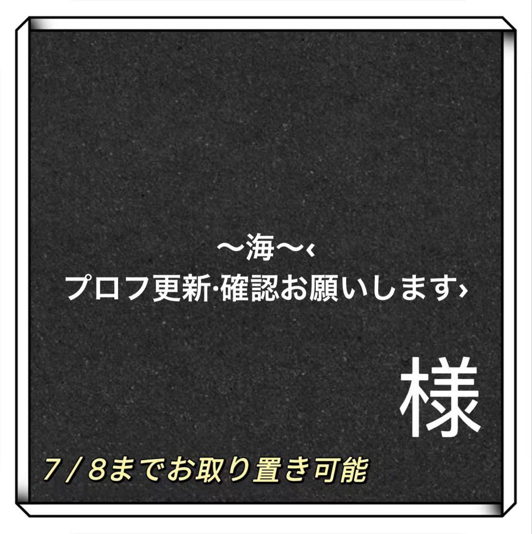 〜海〜‹プロフ更新·確認お願いします›様専用