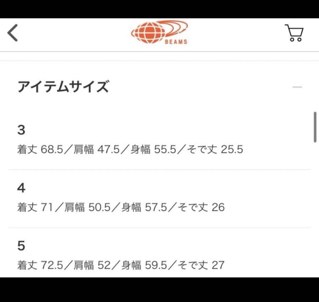 AURALEE 3 22ss ポロシャツBIG POLO