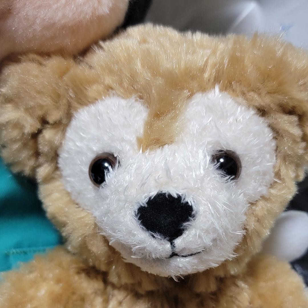 在庫定番 ミッキー ダッフィーのワンダフルヴォヤッジ ぬいぐるみ KuHJO-m95308279353 爆買い