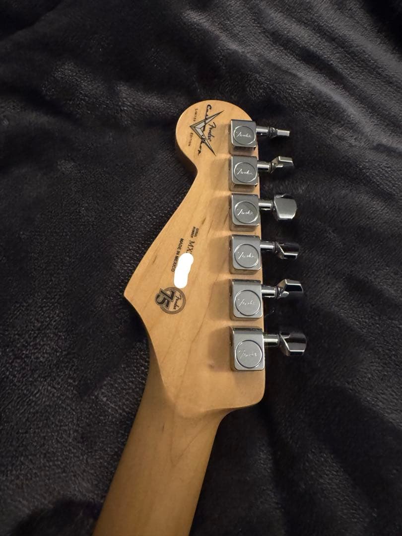 レア fender player stratocaster tidepool レア fender player stratocaster tidepool