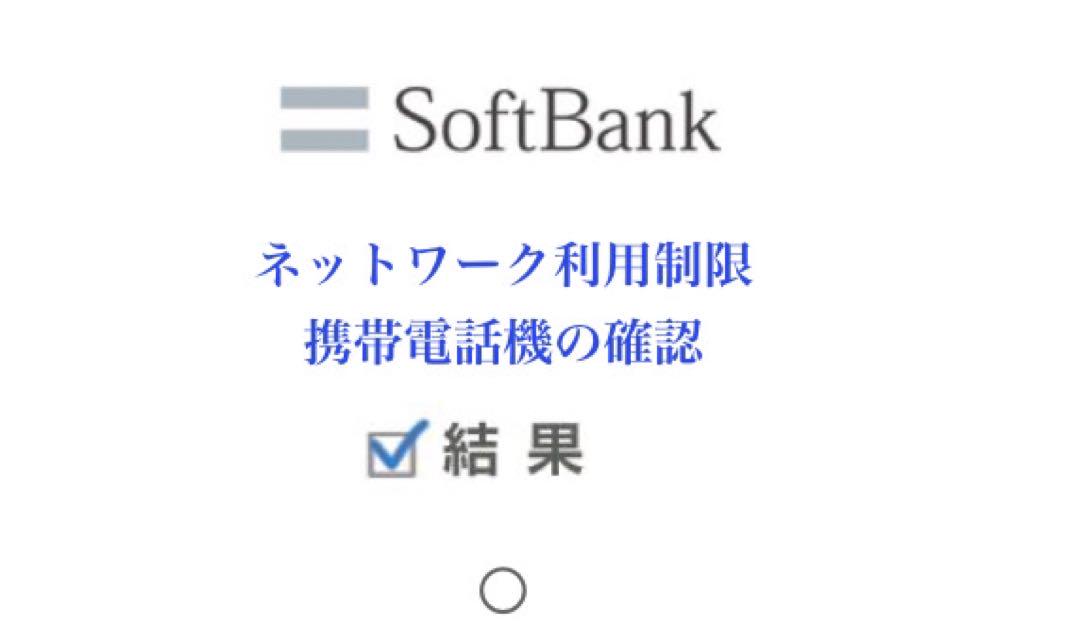 iPhone13 256GB ブルー　まっくす