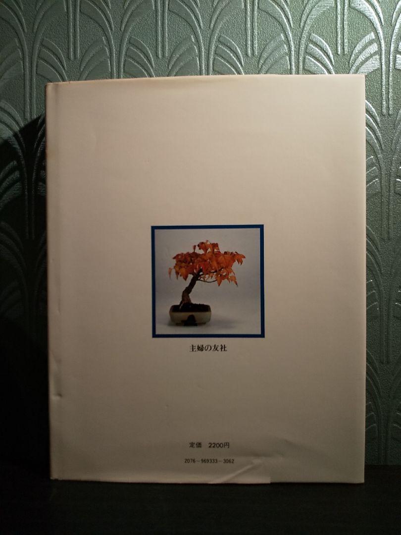 小品盆栽専科 雑木編 ○樹種別 仕立て方のコツ／明官俊彦 小品盆栽専科 雑木編 ○樹種別 仕立て方のコツ／明官俊彦