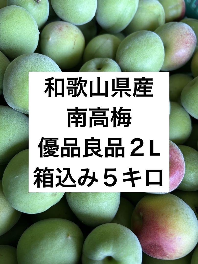 和歌山県産　南高梅　青梅　優品・良品　2L 5kg　送料込み