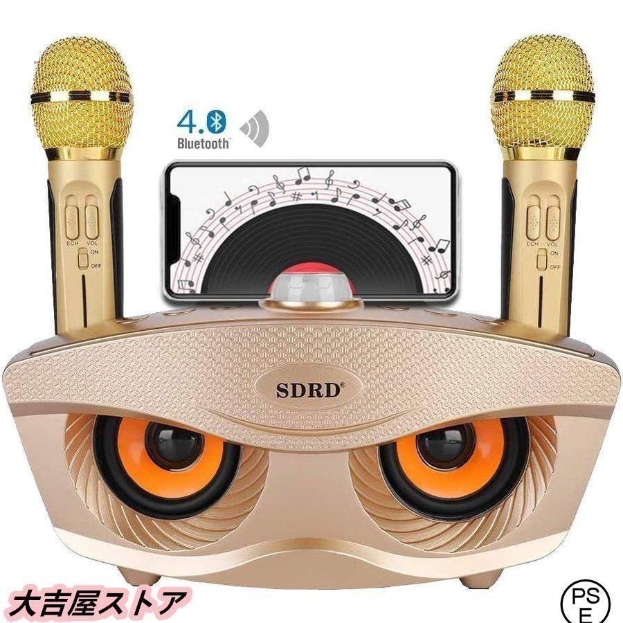 手持ちマイク2本セット Bluetooth カラオケマイク ワイヤレス[9hj0