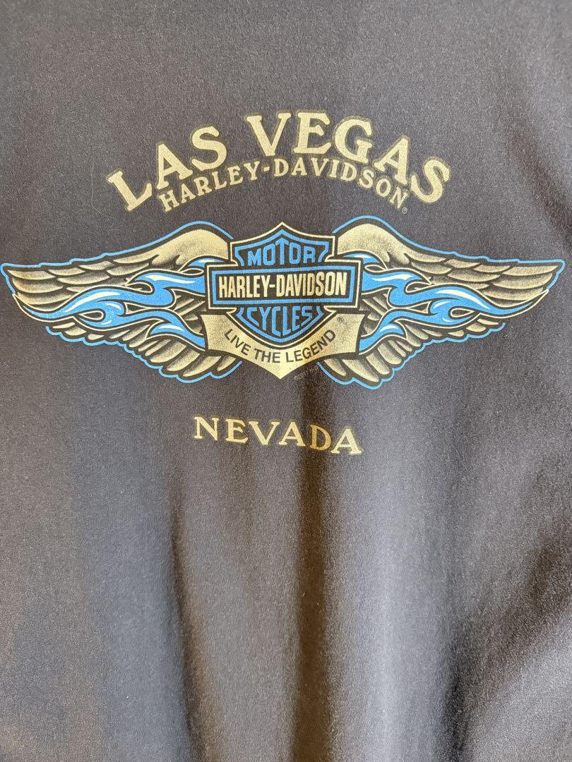Harley-Davidson ロンtブルーフレイム　ネイビー バクプリあり
